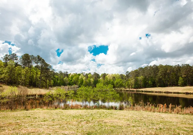 3rd image of 00 Ralph Goolsby Rd, Lincolnton, GA 30817 | MLS# 98256614