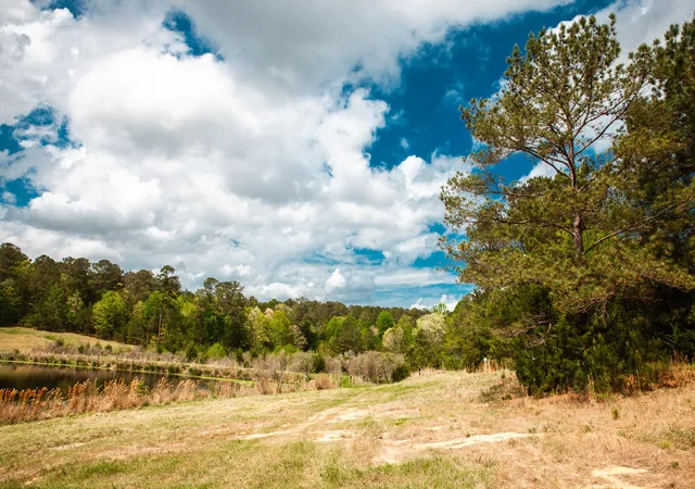 4th image of 00 Ralph Goolsby Rd, Lincolnton, GA 30817 | MLS# 98256614