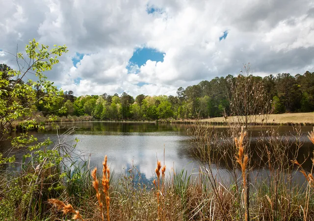 5th image of 00 Ralph Goolsby Rd, Lincolnton, GA 30817 | MLS# 98256614