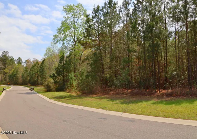 Photo 2 of Land for sale at 9319 Fallen Pear Ln Ne, Leland, NC 28451 | MLS# 100576355 | Listing updated on 2026-08-18