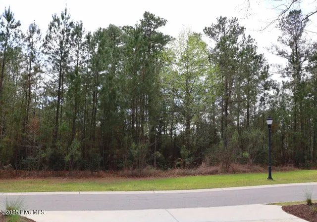 Photo 3 of Land for sale at 9319 Fallen Pear Ln NE, Leland, NC 28451 | MLS# 100576355 | Listing updated on 2026-08-18