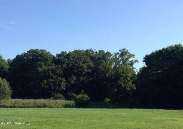 Photo 2 of Land for sale at 327 Acres, Hertford, NC 27944 | MLS# 100545430 | Listing updated on 2026-03-01