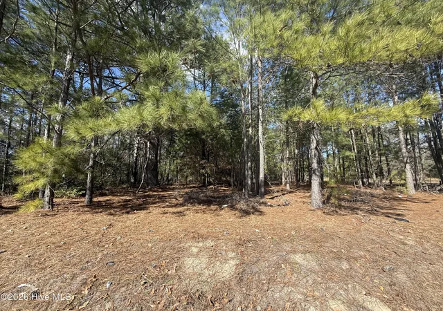 Homes for sale in Rockingham, NC | Tbd Mizpah Rd, Rockingham, NC 28379 | MLS# 100556457