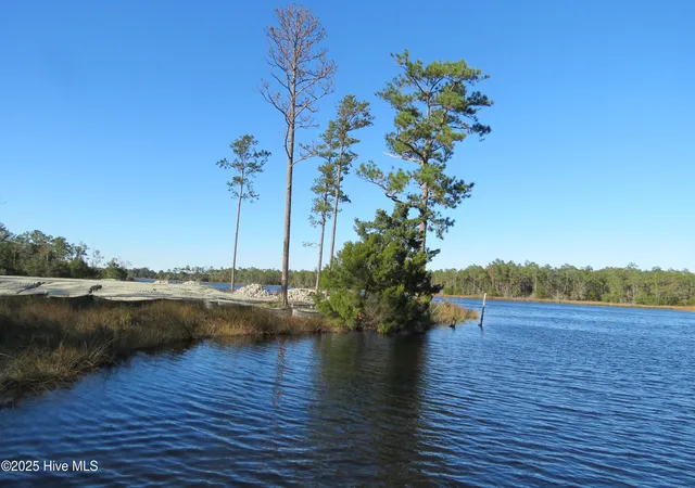 4th image of 365 Tar Creek Rd, Oriental, NC 28571 | MLS# 100535077