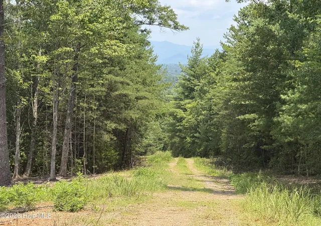 Photo 3 of Land for sale at 6 Avalon Crst St, Murphy, NC 28906 | MLS# 100596944 | Listing updated on 2026-08-18