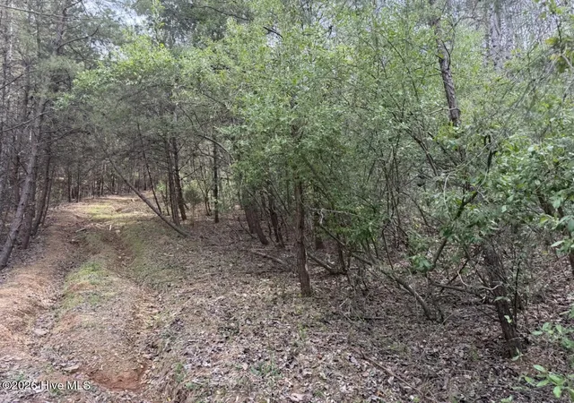 Photo 3 of Land for sale at 0000 Ogreeta Rd, Murphy, NC 28906 | MLS# 100580624 | Listing updated on 2026-08-18