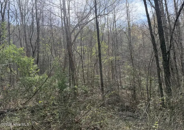 Photo 5 of Land for sale at 0000 Ogreeta Rd, Murphy, NC 28906 | MLS# 100580624 | Listing updated on 2026-08-18