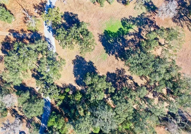 Homes for sale in Midway, GA | Lot 28 Bermuda Bluff Ln, Midway, GA 31320 | MLS# SA350440