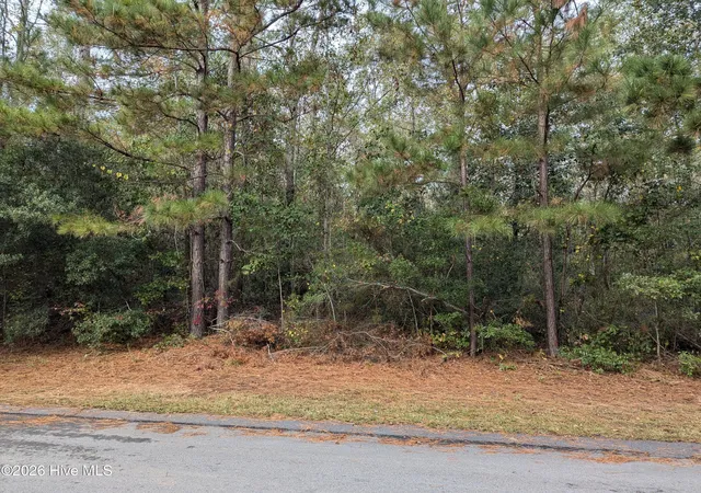 Photo 1 of Land for sale at 0 Summercreek Dr, Graniteville, SC 29829 | MLS# 100594028 | Listing updated on 2026-08-18