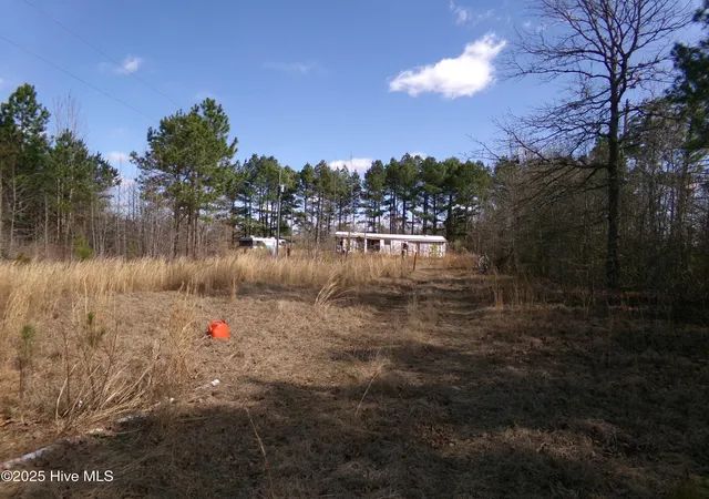 Photo 3 of Land for sale at 4766 Old Wire Rd, Red Springs, NC 28377 | MLS# 100592403 | Listing updated on 2026-08-18