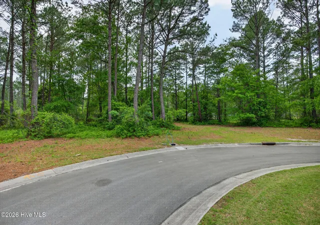Homes for sale in Wallace, NC | 188 Cypress Pt, Wallace, NC 28466 | MLS# 100570434