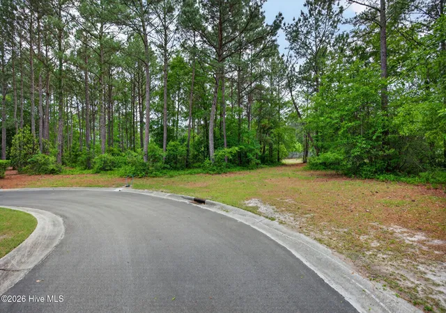 Homes for sale in Wallace, NC | 188 Cypress Pt, Wallace, NC 28466 | MLS# 100570434