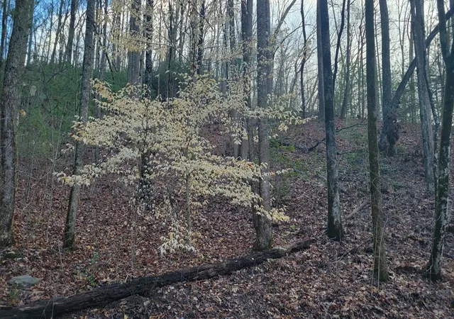 Photo 2 of Land for sale at 27 Page Ln, Murphy, NC 28906 | MLS# 98544391 | Listing updated on 2026-08-17