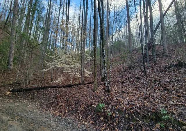 Photo 3 of Land for sale at 27 Page Ln, Murphy, NC 28906 | MLS# 98544391 | Listing updated on 2026-08-17