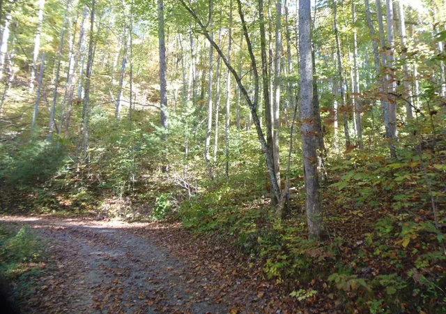 Photo 4 of Land for sale at 27 Page Ln, Murphy, NC 28906 | MLS# 98544391 | Listing updated on 2026-08-17