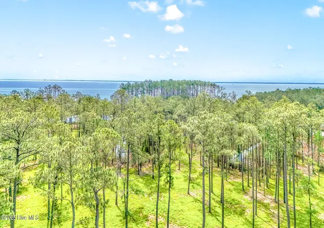 3rd image of 175 River Watch Rd, Oriental, NC 28571 | MLS# 100437178