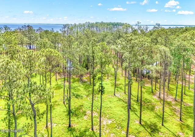 4th image of 175 River Watch Rd, Oriental, NC 28571 | MLS# 100437178