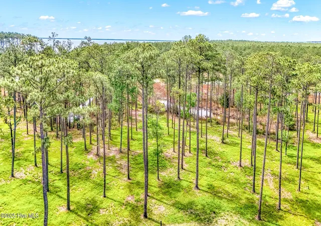 5th image of 175 River Watch Rd, Oriental, NC 28571 | MLS# 100437178