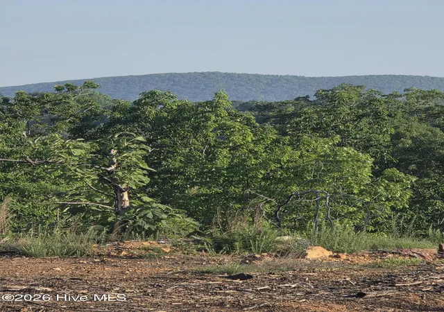 Photo 2 of Land for sale at 7740383679 Skeen View Rd, Asheboro, NC 27205 | MLS# 100569860 | Listing updated on 2026-08-18
