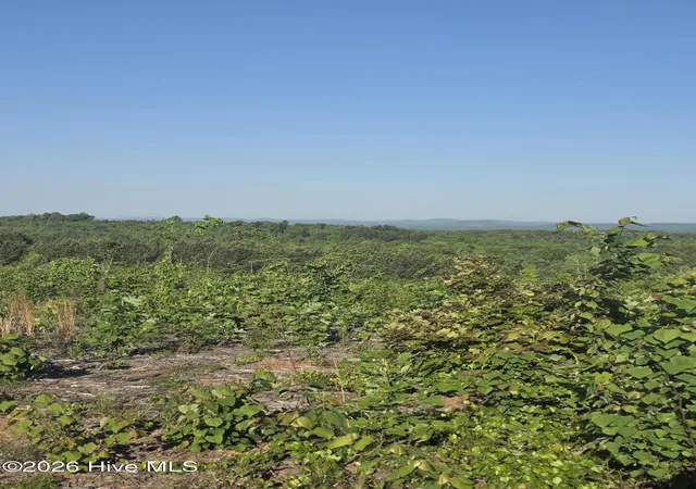 Photo 3 of Land for sale at 7740383679 Skeen View Rd, Asheboro, NC 27205 | MLS# 100569860 | Listing updated on 2026-08-18