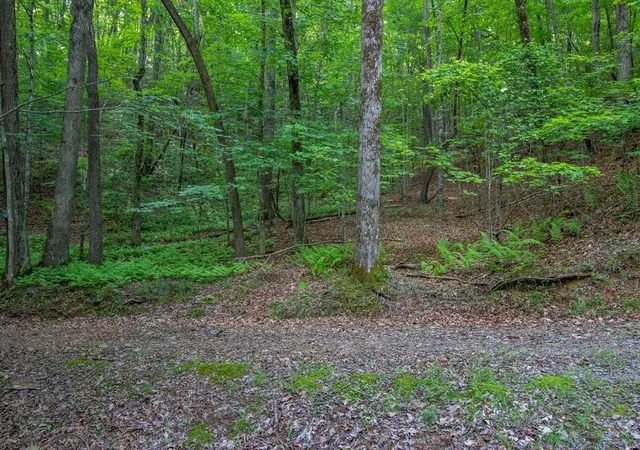 Homes for sale in Brasstown, NC | 00 Laurel Mountain Rd, Brasstown, NC 28902 | MLS# 98525038