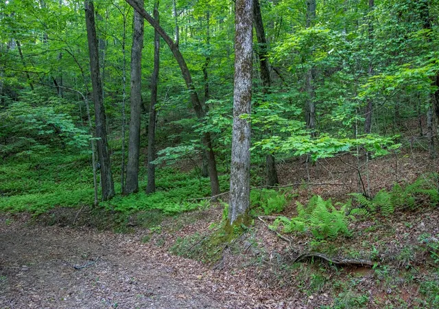 Homes for sale in Brasstown, NC | 00 Laurel Mountain Rd, Brasstown, NC 28902 | MLS# 98525038