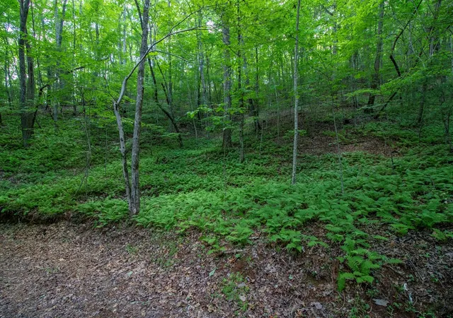 Photo 3 of Land for sale at 00 Laurel Mountain Rd, Marble, NC 28905 | MLS# 98525038 | Listing updated on 2026-06-02