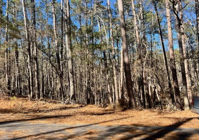 1st image of 0 Oconee Ln, Mc Cormick, SC 29835 | MLS# 98254839
