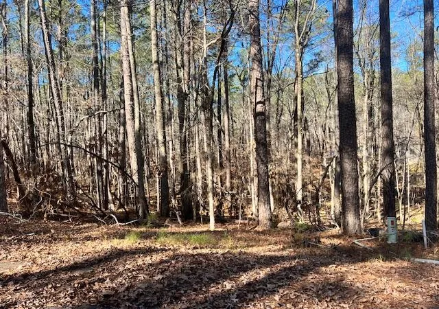 2nd image of 0 Oconee Ln, Mc Cormick, SC 29835 | MLS# 98254839