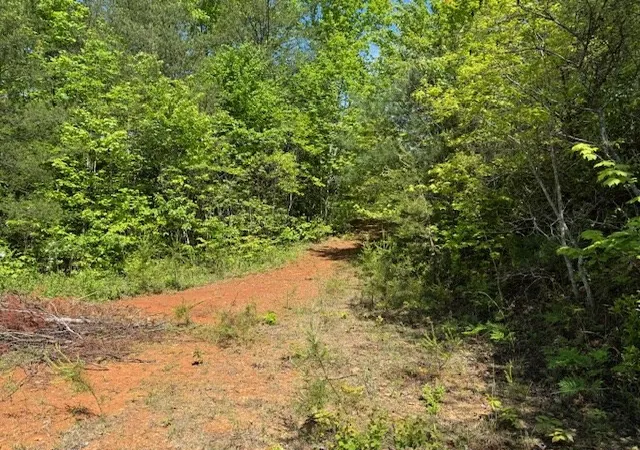 Homes for sale in Marble, NC | Lot 11 Paradise, Marble, NC 28905 | MLS# 98524592