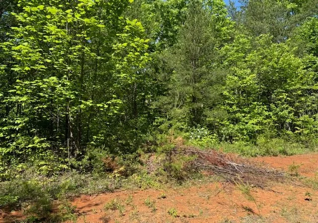 Homes for sale in Marble, NC | Lot 11 Paradise, Marble, NC 28905 | MLS# 98524592