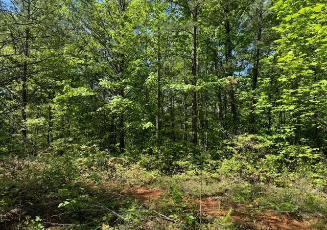 Homes for sale in Marble, NC | Lot 11 Paradise, Marble, NC 28905 | MLS# 98524592