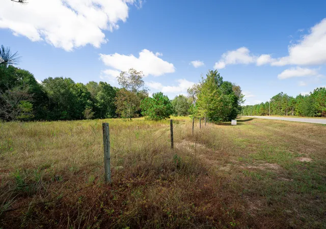 Homes for sale in Waynesboro, GA | 0 S 23 Hwy, Waynesboro, GA 30830 | MLS# 98224418