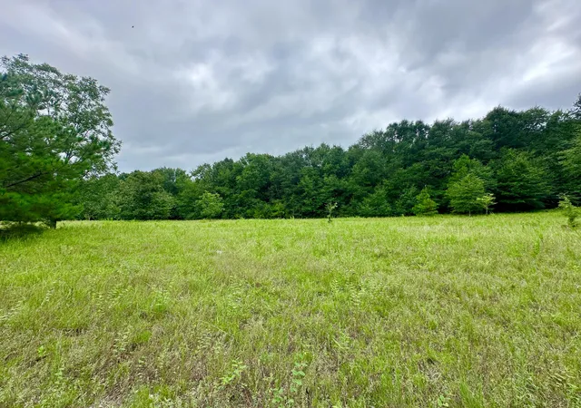 Homes for sale in Waynesboro, GA | 0 S 23 Hwy, Waynesboro, GA 30830 | MLS# 98224418