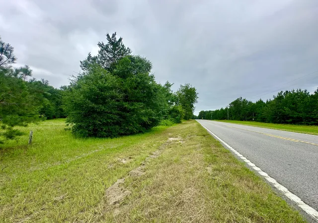 Homes for sale in Waynesboro, GA | 0 S 23 Hwy, Waynesboro, GA 30830 | MLS# 98224418