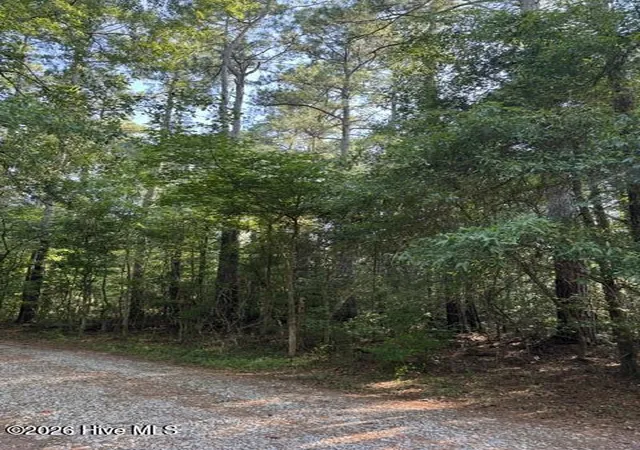 Photo 2 of Land for sale at 0 E Wilmington St, Burgaw, NC 28425 | MLS# 100592785 | Listing updated on 2026-08-18