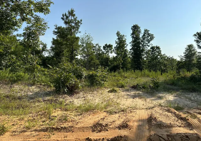 47th image of 2576 Jessie James Pond Rd, Wrens, GA 30833 | MLS# 98224807