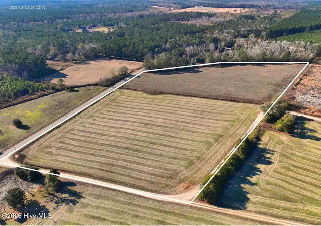 3rd image of 00 Croomsbridge Rd, Burgaw, NC 28425 | MLS# 100561904