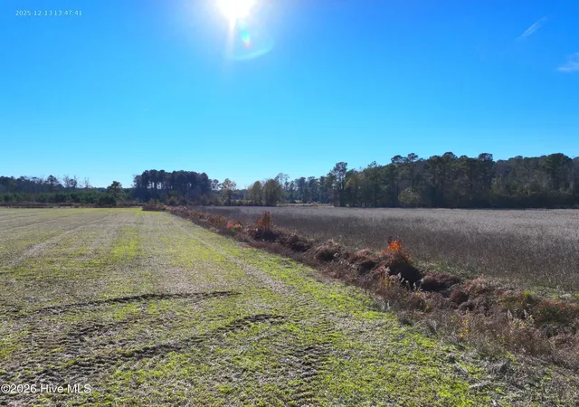 5th image of 00 Croomsbridge Rd, Burgaw, NC 28425 | MLS# 100561904