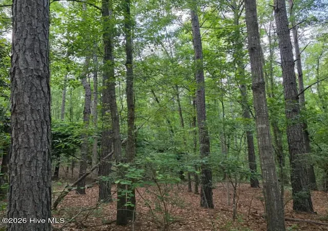 Photo 2 of Land for sale at 15a Woodberry Ln, North Augusta, SC 29841 | MLS# 100591088 | Listing updated on 2026-09-02