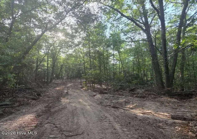 Photo 3 of Land for sale at 15a Woodberry Ln, North Augusta, SC 29841 | MLS# 100591088 | Listing updated on 2026-09-02