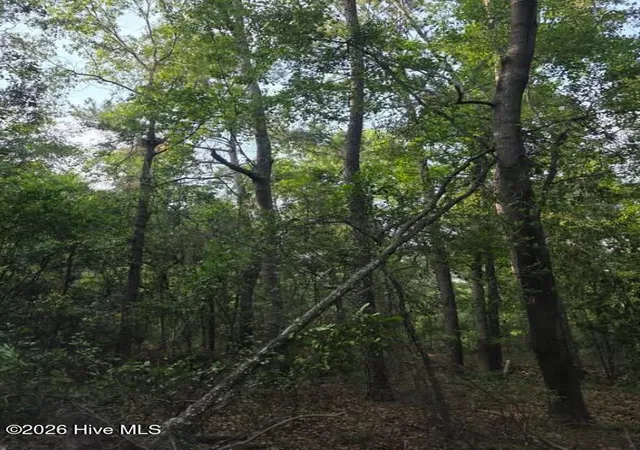 Photo 4 of Land for sale at 15a Woodberry Ln, North Augusta, SC 29841 | MLS# 100591088 | Listing updated on 2026-09-02