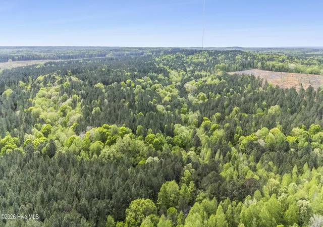 Photo 2 of Land for sale at 3100 Buckhorn Rd, Sanford, NC 27330 | MLS# 100593971 | Listing updated on 2026-08-07