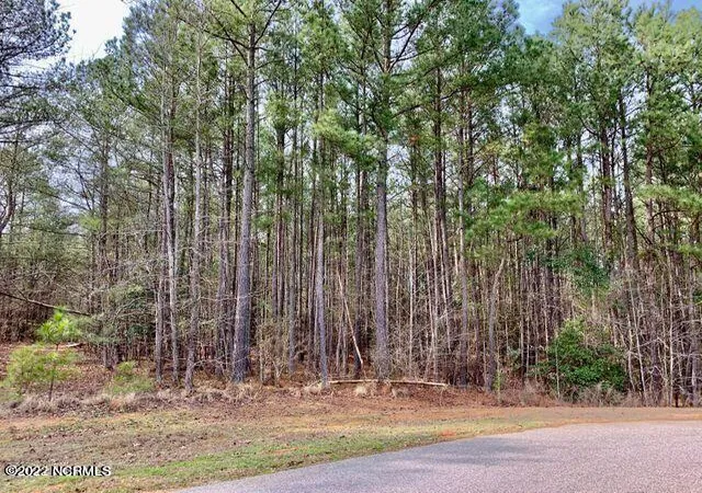 17th image of 141 N State Ln, Rockingham, NC 28379 | MLS# 100541185