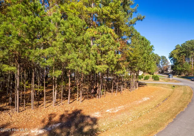 Photo 3 of Land for sale at 65 Standard Bred Wy, Hertford, NC 27944 | MLS# 100541157 | Listing updated on 2026-10-02
