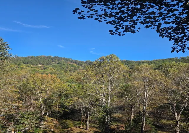 Photo 14 of Land for sale at 0 Lords Way, Andrews, NC 28901 | MLS# 98524870 | Listing updated on 2026-07-24
