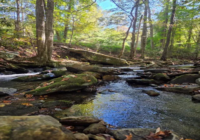 Photo 1 of Land for sale at 0 Lords Way, Andrews, NC 28901 | MLS# 98524870 | Listing updated on 2026-07-24