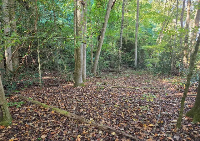 Photo 3 of Land for sale at 0 Lords Way, Andrews, NC 28901 | MLS# 98524870 | Listing updated on 2026-07-24