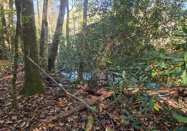 Photo 4 of Land for sale at 0 Lords Way, Andrews, NC 28901 | MLS# 98524870 | Listing updated on 2026-07-24