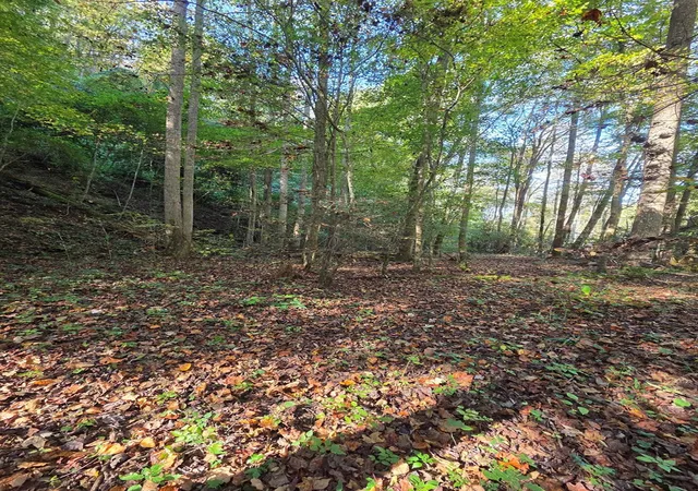 Photo 5 of Land for sale at 0 Lords Way, Andrews, NC 28901 | MLS# 98524870 | Listing updated on 2026-07-24